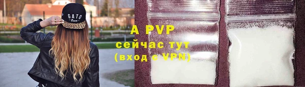 хмурый Няндома